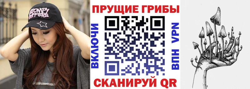 Псилоцибиновые грибы Psilocybine cubensis  где купить   Протвино 