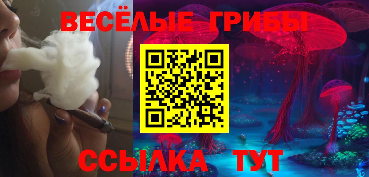 Псилоцибиновые грибы мицелий  купить наркотики цена  Протвино  Вход с VPN 